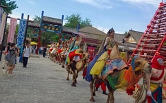 日本情欲的味道溢出荧幕